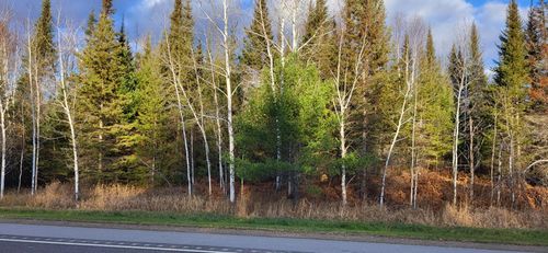 16 Crane Lake Road, Crane Lake, MN, 55725 | Card Image
