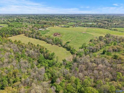 121 - 144 acres Sumners Rd, Horton, AL, 35980 | Card Image
