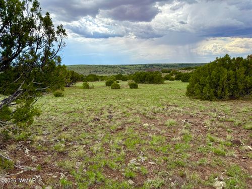 127 Spruce St, Concho, AZ, 85924 | Card Image