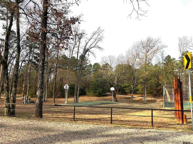 Lot 2 Cottontail Dr, Home with 0 bedrooms, 0 bathrooms and null parking in Mt Vernon TX | Image 4