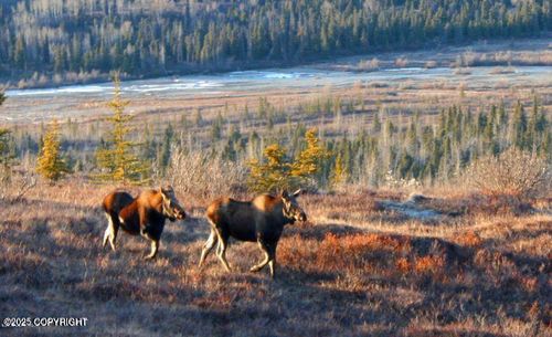 L2 Purinton Creek Trail, Chickaloon, AK, 99674 | Card Image