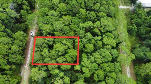 413 Dogwood Ave, Georgetown, FL, 32139 | Card Image