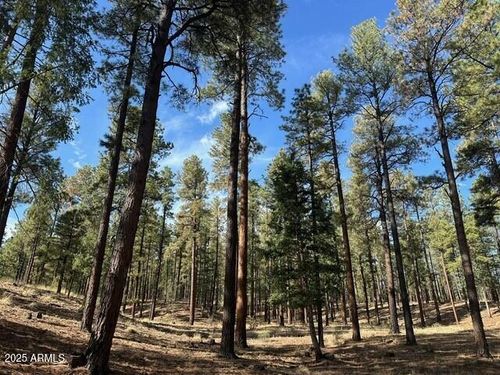 101-46-020v-2184 Us Highway 180, Alpine, AZ, 85920 | Card Image