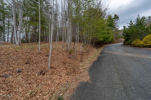 Lot 4 Forge Creek Rd, Mountain City, TN, 37683 | Card Image