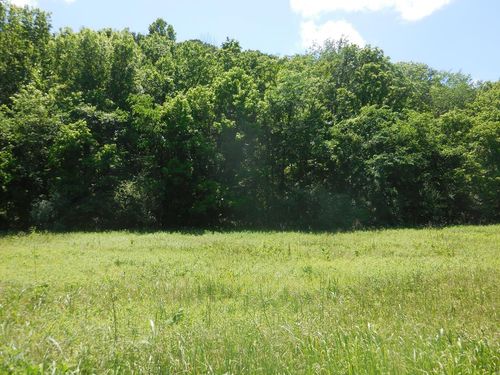 0 Hopkins Hollow Rd, Gainesboro, TN, 38562 | Card Image