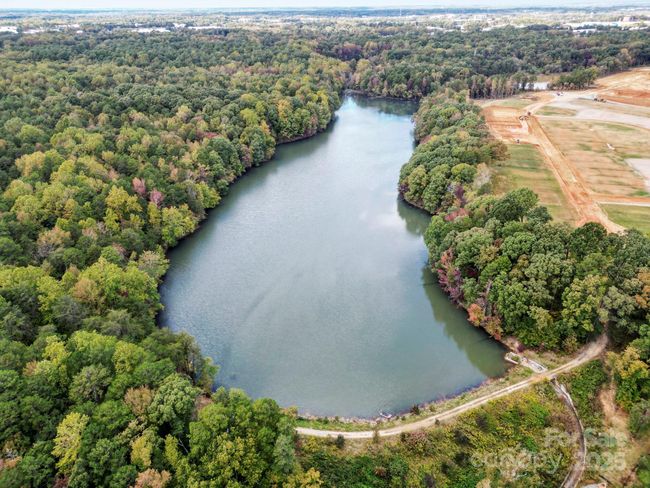 Griffith Lake | Image 16
