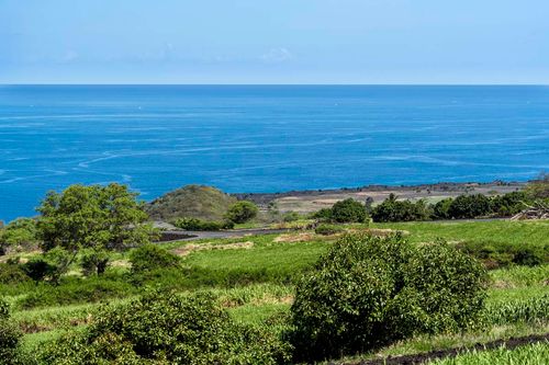 81-510 Mohalahala Pl, KEALAKEKUA, HI, 96750 | Card Image