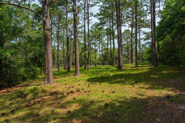 67-web-or-mls-4869 Retta Ln Exterior-38 | Image 68