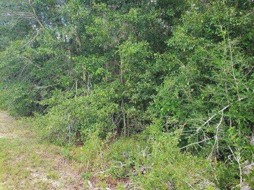 --0 Cannonville Rd, Abbeville, GA, 31001 | Card Image