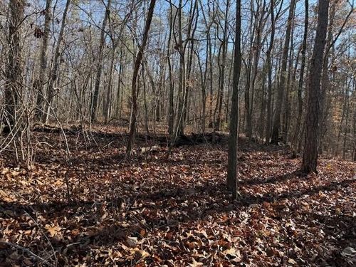 5 Bethel Rd, Valley Head, AL, 35989 | Card Image