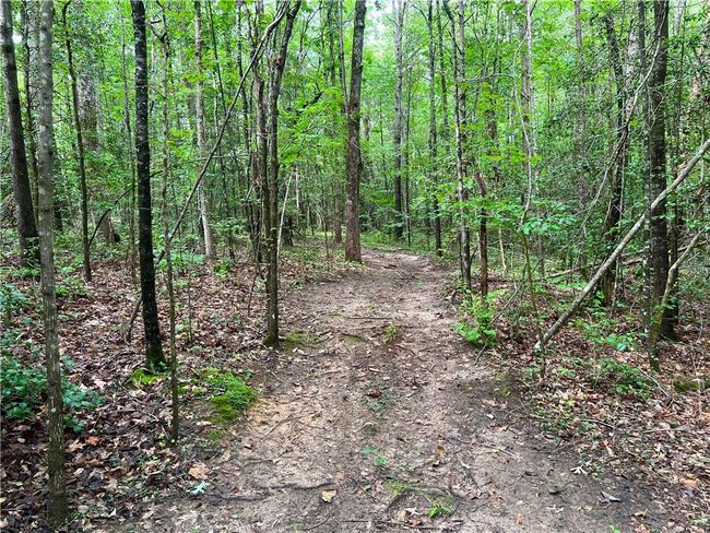 0 N Old Pendleton Rd, Home with 0 bedrooms, 0 bathrooms and null parking in Easley SC | Image 12