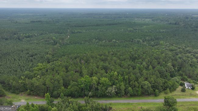 0 Boiling Springs Rd, Home with 0 bedrooms, 0 bathrooms and null parking in Soperton GA | Image 8