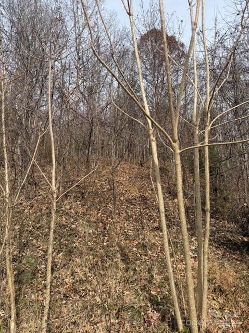 00 Yancey Rd, Marion, NC, 28752 | Card Image