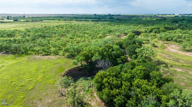 801 State Highway 153, House other with 4 bedrooms, 2 bathrooms and null parking in Wingate TX | Image 38