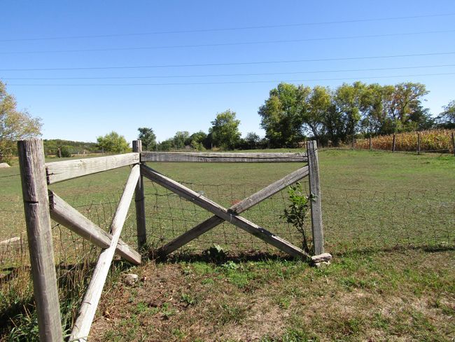Pasture | Image 17