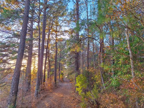 TBD County Road 2920, Hughes Springs, TX, 75656 | Card Image