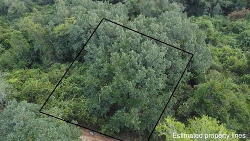 TBD Holly Springs, Hilltop Lakes, TX, 77871 | Card Image