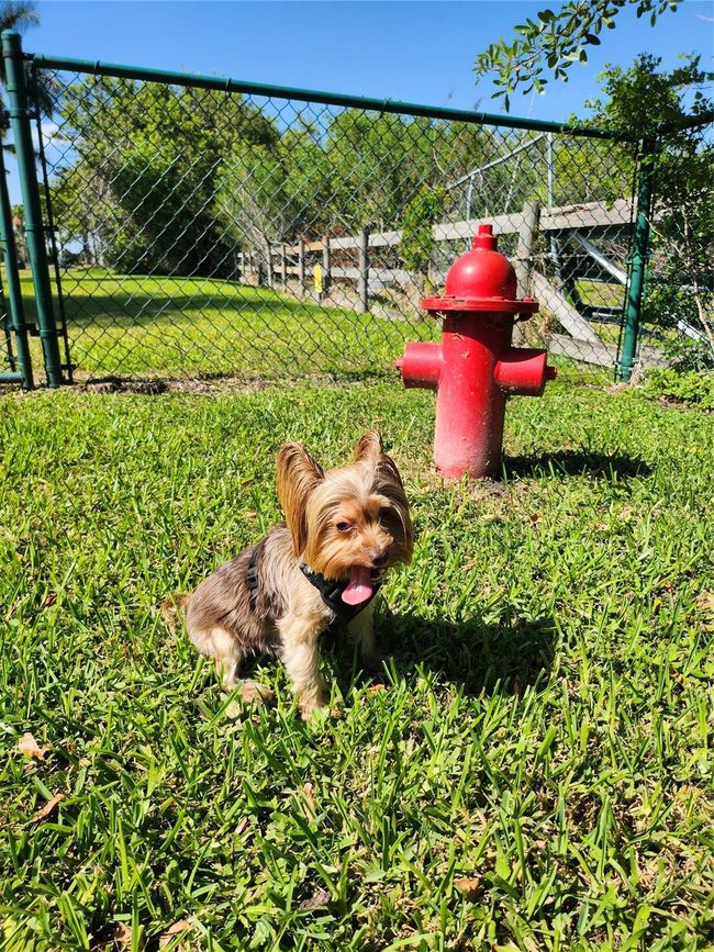 Puppy Park rest stop | Image 43