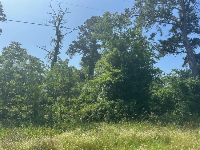 10 Fm 980 S, Home with 0 bedrooms, 0 bathrooms and null parking in Pointblank TX | Image 5