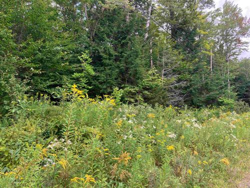 925 Porcupine Ln, Wilmington, VT, 05363 | Card Image