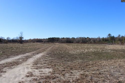 0 Sc Highway 3, Blackville, SC, 29817 | Card Image