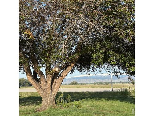 8502 N 107th St, Longmont, CO, 80504-8426 | Card Image