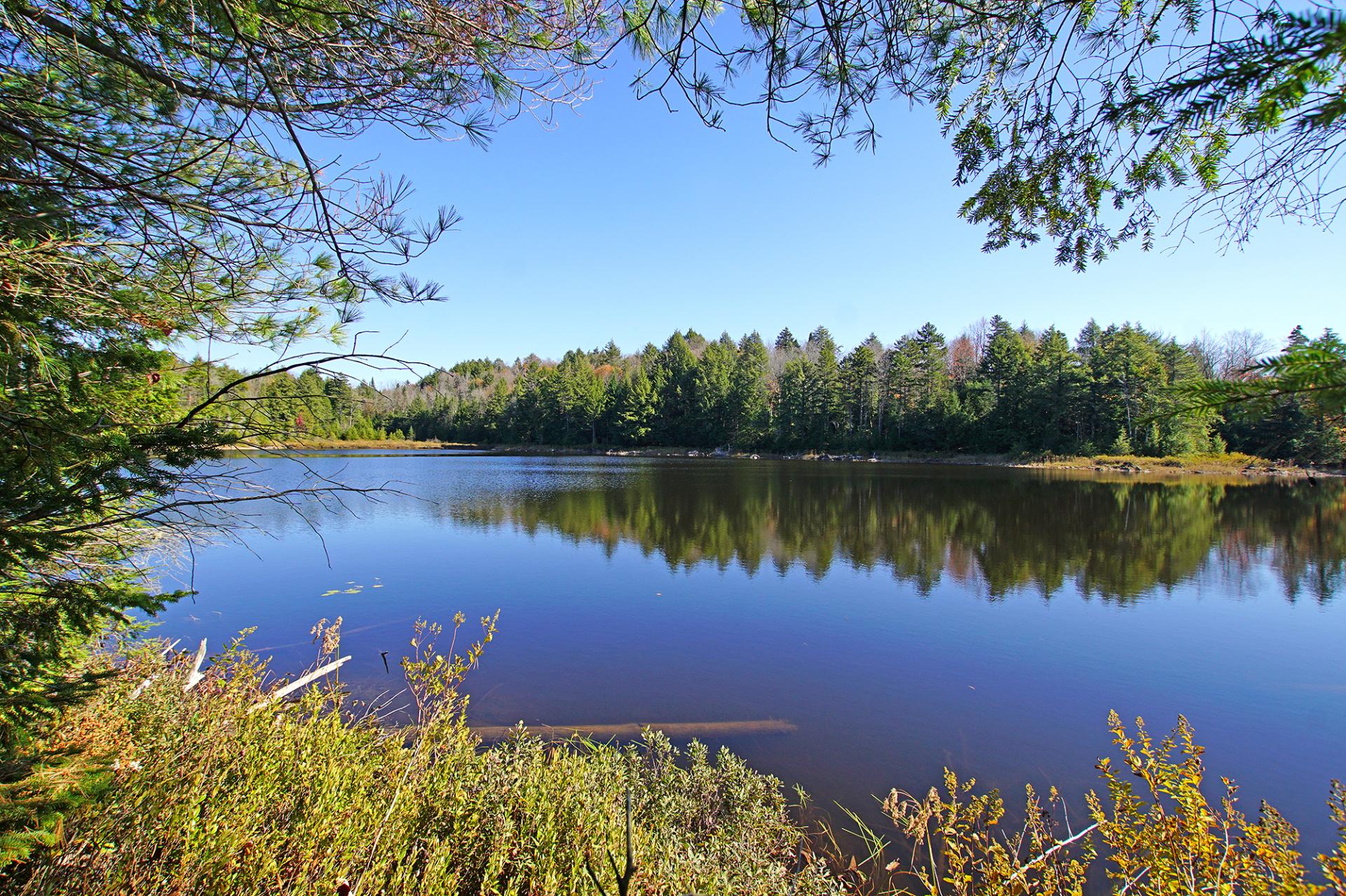 Land in Wentworth 4
