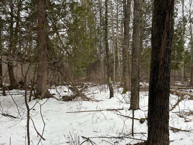 743 Woodlawn Rd, House other with 2 bedrooms, 1 bathrooms and null parking in Pickerel WI | Image 63