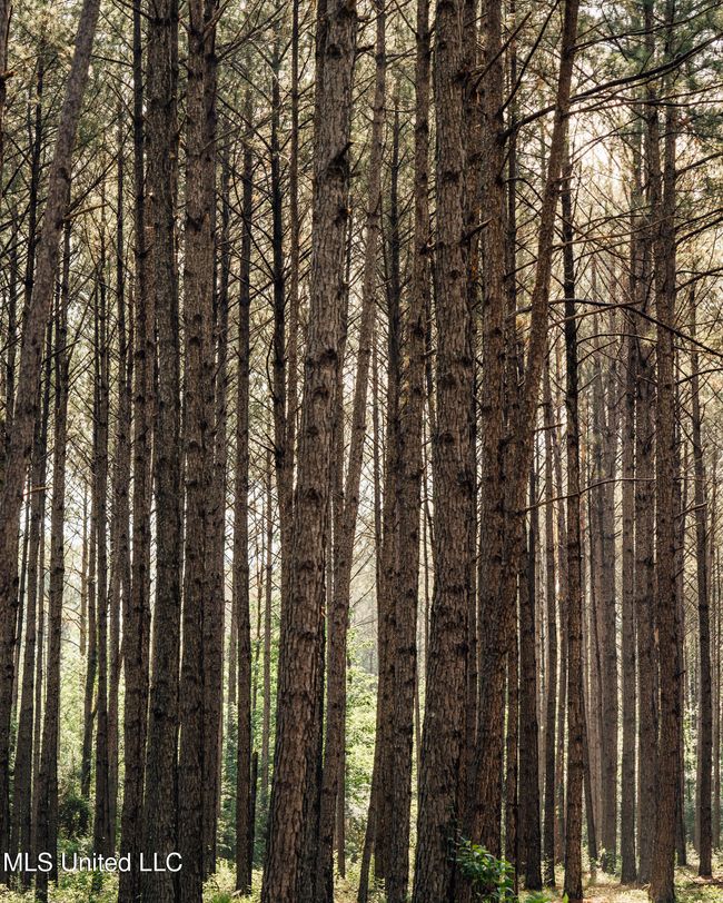 JG Puckett Cabin Pics-56 | Image 67