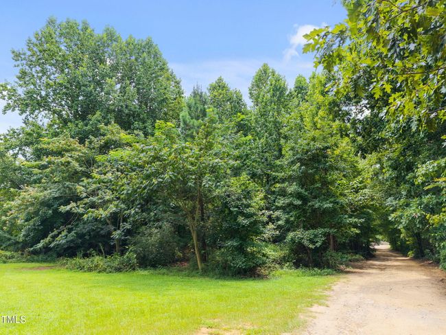 12-web-or-mls-12_DJI_20250801124952_0245 | Image 5