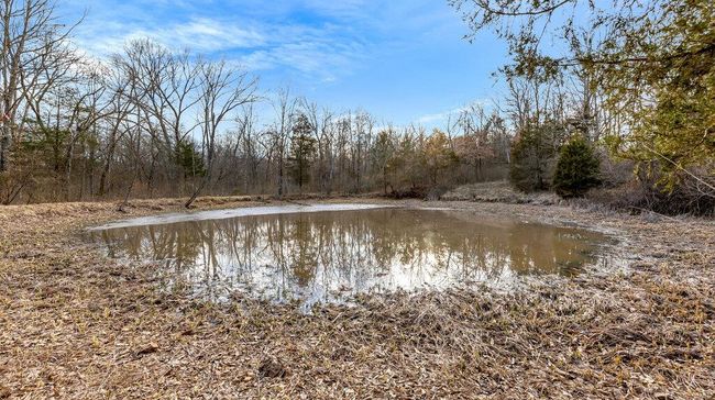 0 Highway M, Home with 0 bedrooms, 0 bathrooms and null parking in Villa Ridge MO | Image 8