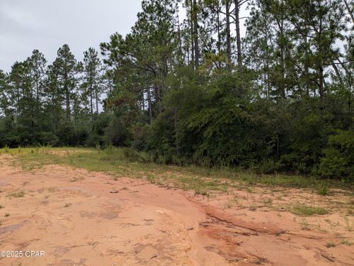 0 Deshutes Dr, Alford, FL, 32420 | Card Image