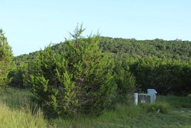 Right front of Lot with rear view | Image 32