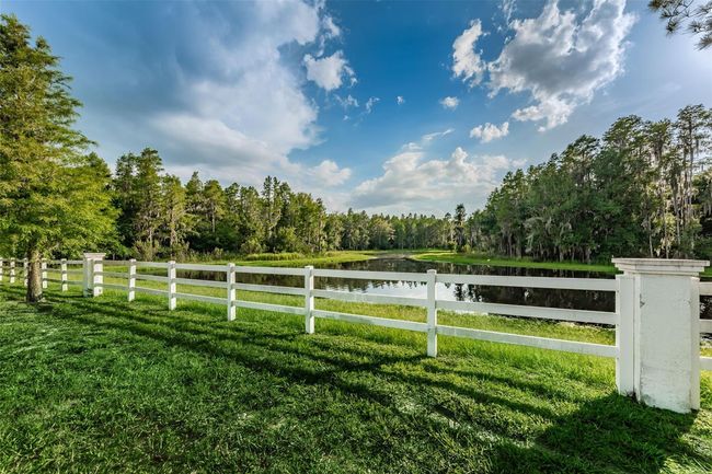 1236 Ketzal Dr, House other with 5 bedrooms, 3 bathrooms and null parking in TRINITY FL | Image 48