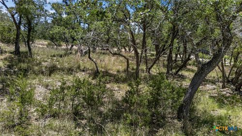 00 Campbell Dr, Canyon Lake, TX, 78133 | Card Image