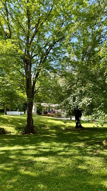 Residential in Jackson 2