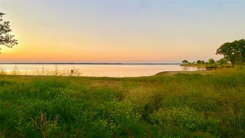 Lot 52 Paradise Cv, Streetman, TX, 75859-7085 | Card Image