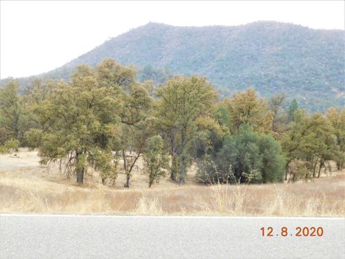 32705 Sycamore Rd, Tollhouse, CA, 93667-9513 | Card Image