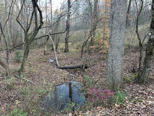 Lot 12 Tombstone Dr, Blairsville, GA, 30512-2099 | Card Image