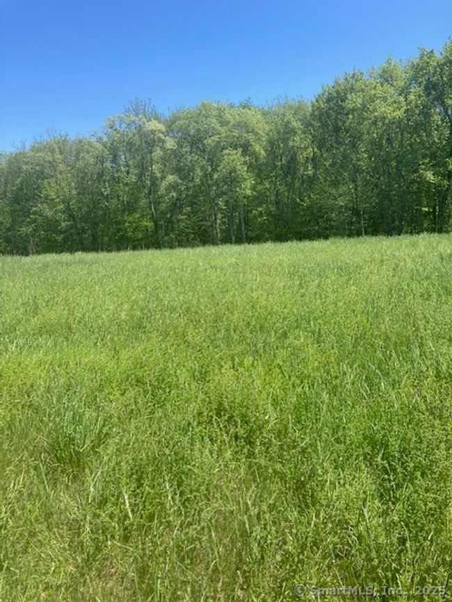 108 Burgess Rd, Home with 0 bedrooms, 0 bathrooms and null parking in Morris CT | Image 4