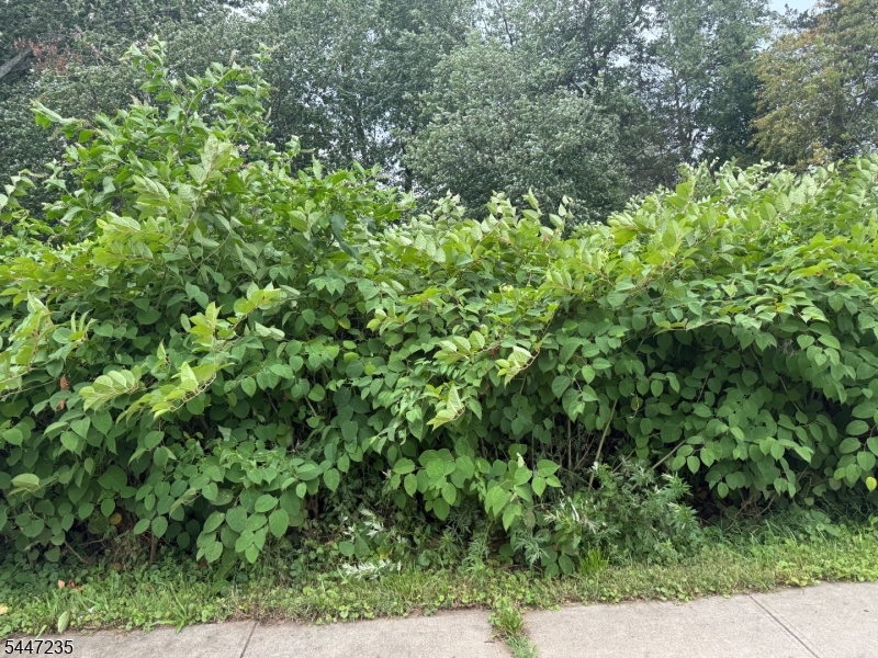 Land in Piscataway Twp.
