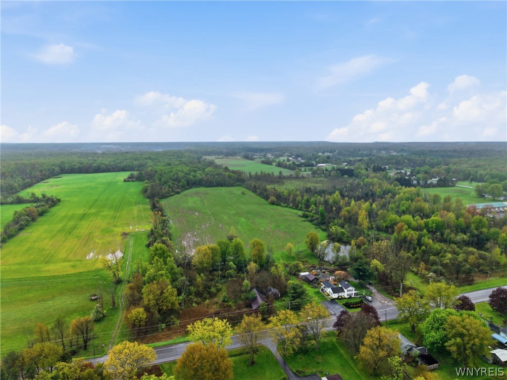 Land in Newstead 5