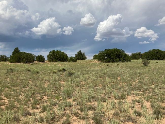 3 Private Drive 1613 B, Home with 0 bedrooms, 0 bathrooms and null parking in Medanales NM | Image 21
