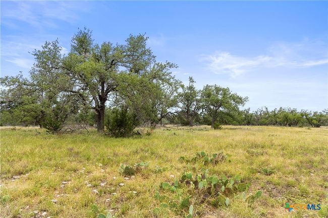 3049 Reservation Rd, Home with 0 bedrooms, 0 bathrooms and null parking in Harper TX | Image 24
