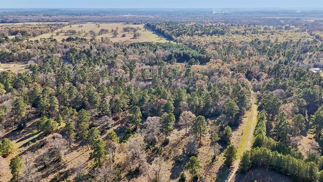 0 Bay Tree St, Home with 0 bedrooms, 0 bathrooms and null parking in Trinity TX | Image 8