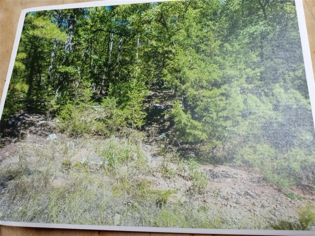 Land in Moyers 5