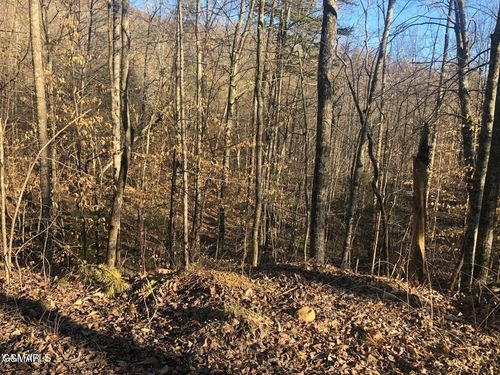 68 Yellowwood Dr, Sevierville, TN, 37876 | Card Image