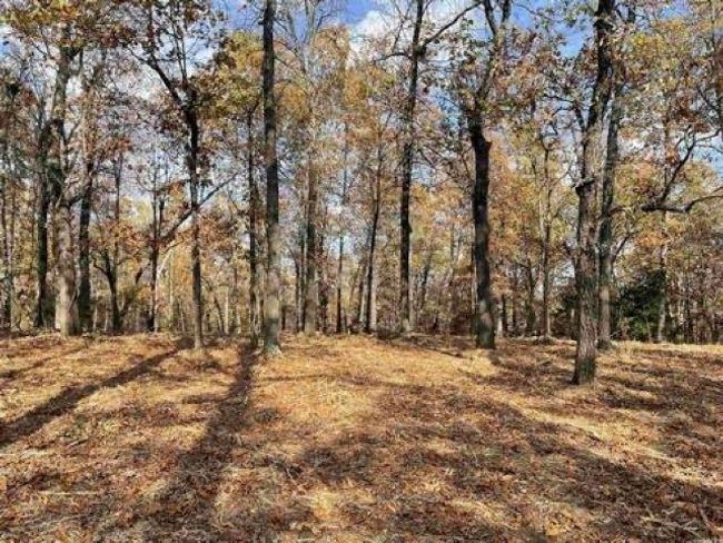709 Primrose Ln, Home with 0 bedrooms, 0 bathrooms and null parking in Horseshoe Bend AR | Image 6