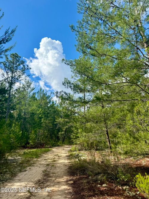 269 Alabama Dr, Hawthorne, FL, 32640-4343 | Card Image