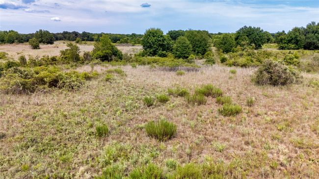 View of local wilderness with a rural view | Image 28